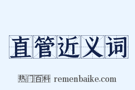 直管近义词是什么意思的图片